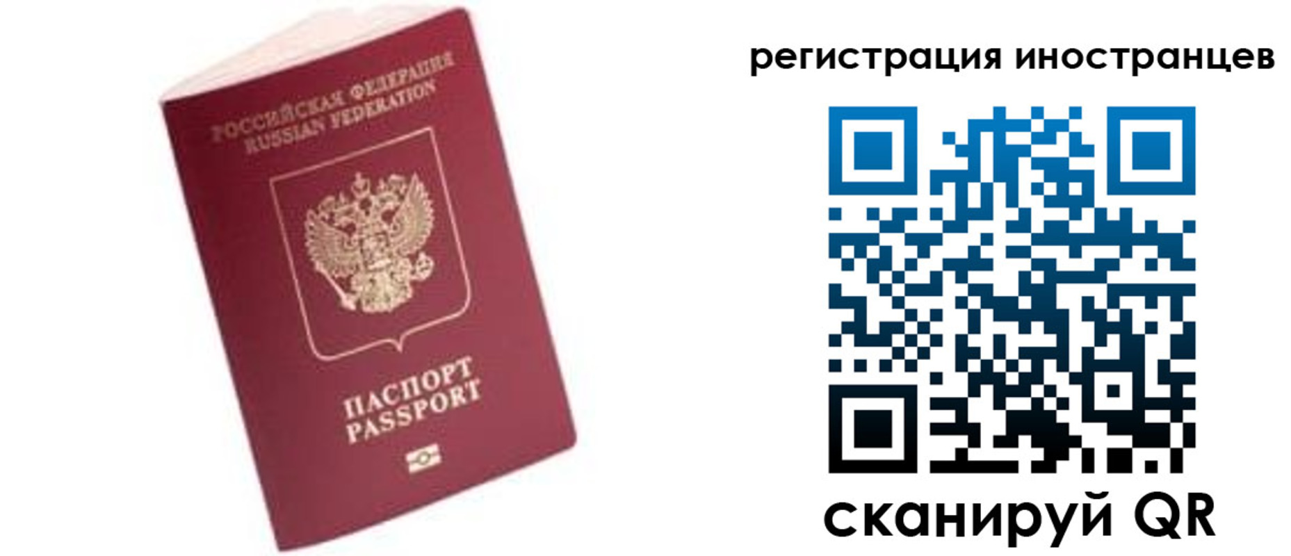 прописка гарантия в Сельцо